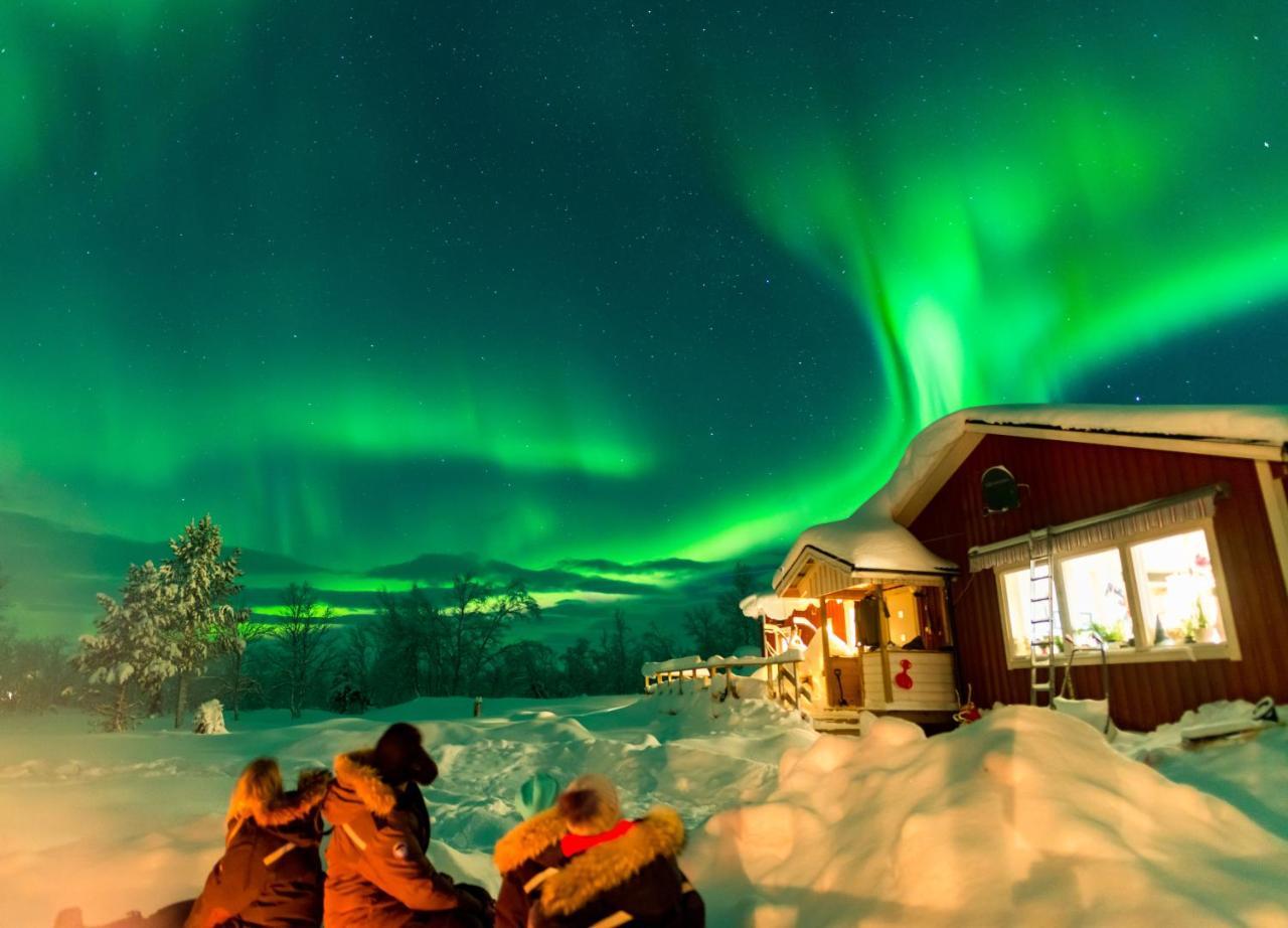 Arctic Gourmet Cabin Кируна Экстерьер фото